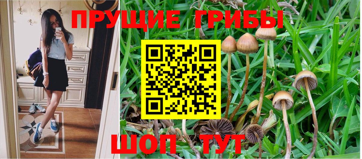 Галлюциногенные грибы MAGIC MUSHROOMS  Вход с VPN  Зеленогорск  Галлюциногенные грибы прущие грибы 